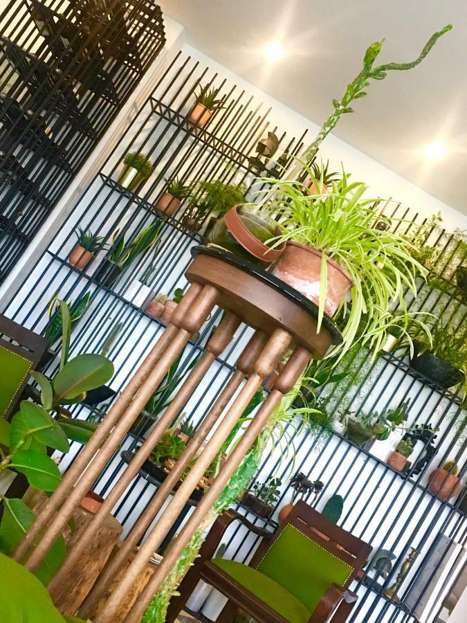 Sato Design Hotel (Adults Only) Çeşme Exteriör bild